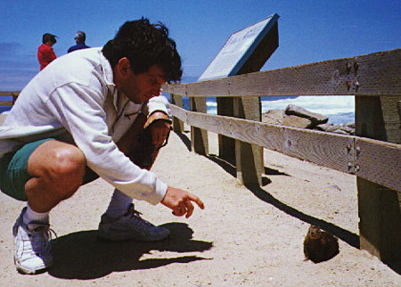 Russell Playing with Wild Animal
