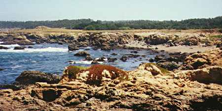 Camping near Russian Gulf State Park
