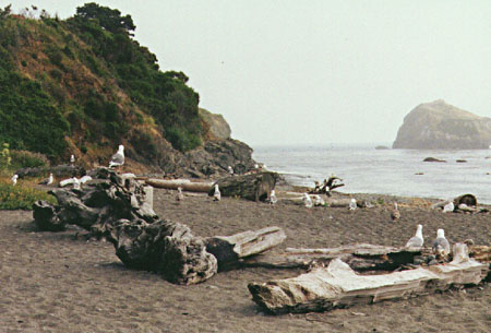Camping near Russian Gulf State Park