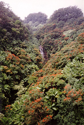 Big Island
